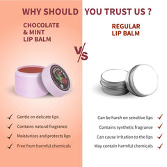 Aimil Ayouthveda Cosmetics Party Swirl Tinted,Chocolate Mint & Berry Lemonade Lip Balm 10g