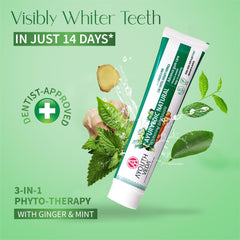 Aimil Ayouthveda Ayurvedic Natural,Charcoal White,Total Care & Mint Gel Whitening Toothpaste 100g