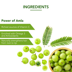 Dabur Ayurvedic Amla Hair Oil