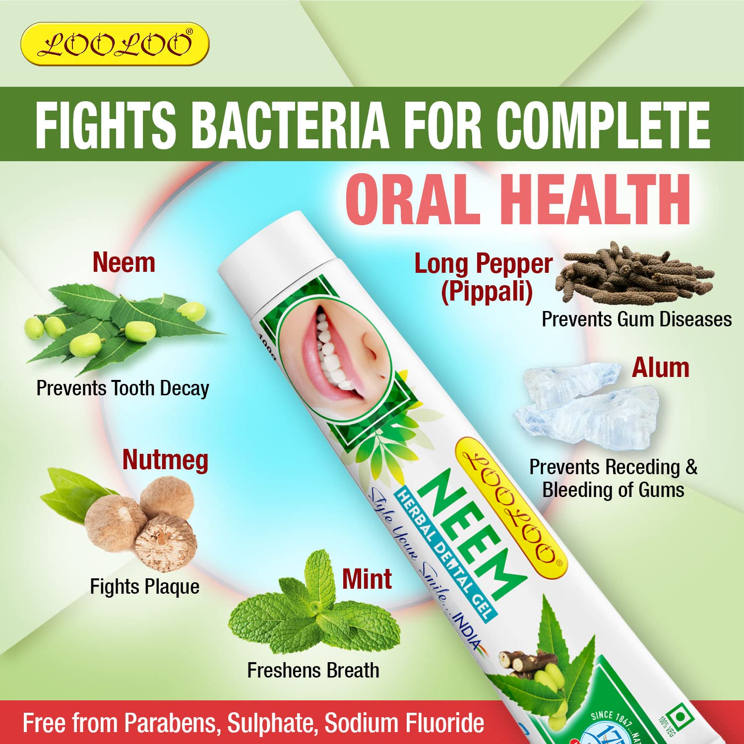 Looloo Ayurvedic Neem & Laung Herbal Dental Toothpaste Gel