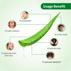 Aimil Ayouthveda Cosmetics Aloe Vera Gel 150g