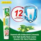 Looloo Ayurvedic Neem & Laung Herbal Dental Toothpaste Gel
