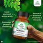 Organic India Organic Moringa Powder & Capsule