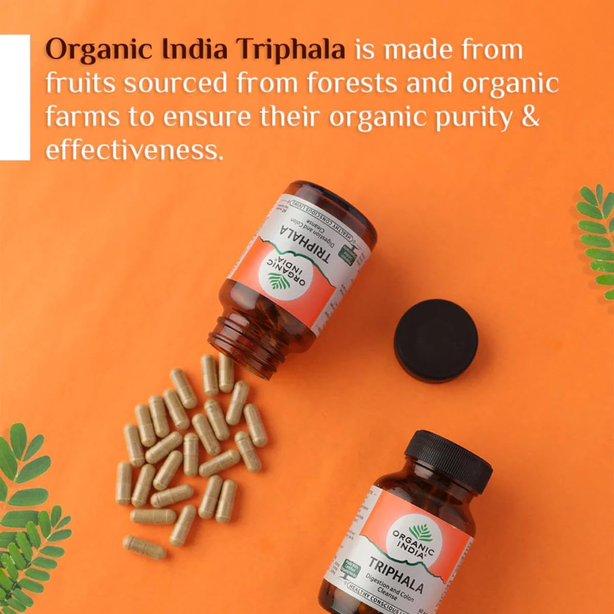 Organic India Triphala Capsule & Powder to Purify Blood & Cure Digestion