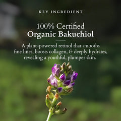 Lotus Organics+ Cosmetics Bakuchiol Plant Retinol Miracle Face Oil 15ml