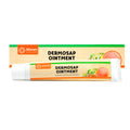 2 X Sitaram Ayurveda Dermosap Ointment 15gm