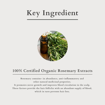 Lotus Organics+ Cosmetics Hair Fall Control Multi Herbs Oil 200ml