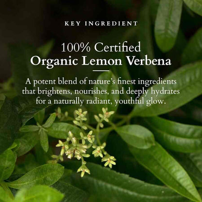 Lotus Organics+ Cosmetics Vit C Radiance Booster Cream SPF-20 50g