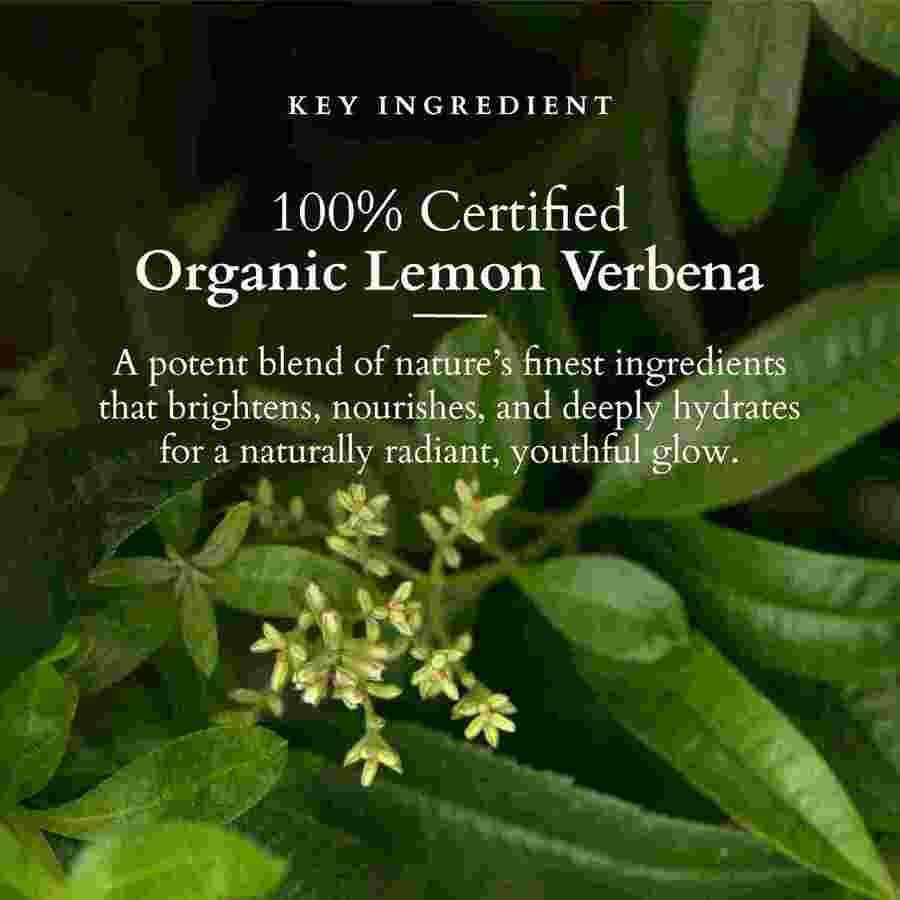 Lotus Organics+ Cosmetics Vit C Radiance Booster Serum 30ml