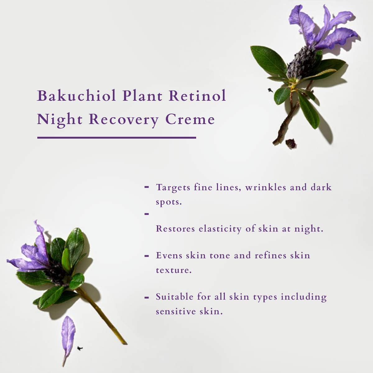 Lotus Organics+ Cosmetics Bakuchiol Plant Retinol Night Recovery Crème Cream 50g