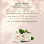 Lotus Organics+ Cosmetics Summer Bakuchiol Combo