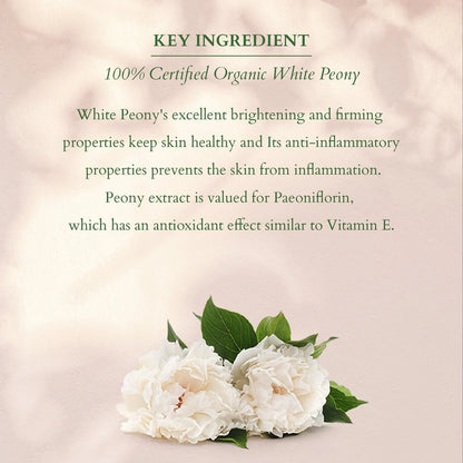 Lotus Organics+ Cosmetics Summer Bakuchiol Combo