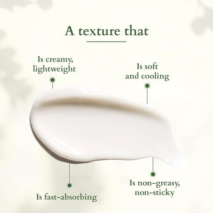 Lotus Organics+ Brightening De Tan Face Pack 100g