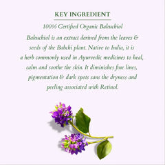 Lotus Organics+ Cosmetics Summer Bakuchiol Combo