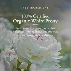 Lotus Organics+ Brightening De Tan Face Pack 100g