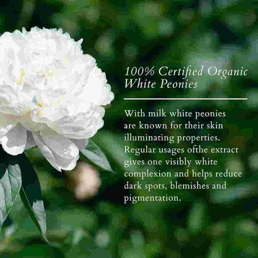 Lotus Organics+ Cosmetics Precious Brightening Facial Oil 15ml