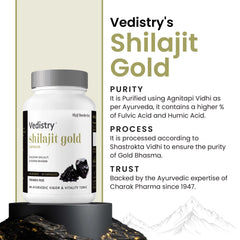 Vedistry Ayurvedic Shilajit Gold 60 Tablets