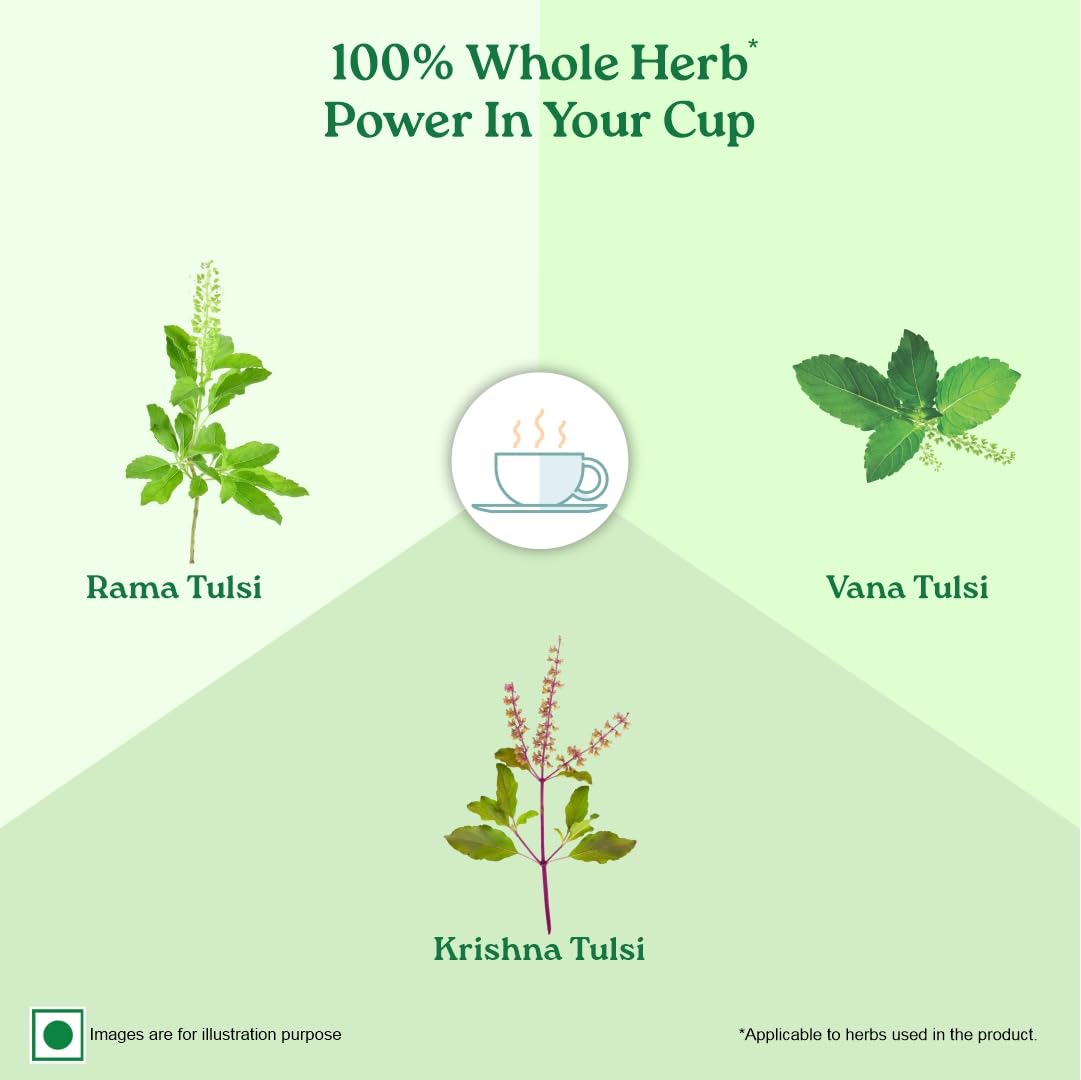 Organic India Tulsi Original Green Tea 25 Teabag,50 Teabag & 100g Tin