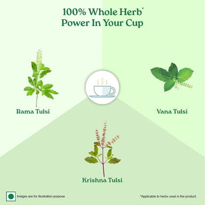 Organic India Tulsi Original Green Tea 25 Teabag,50 Teabag & 100g Tin