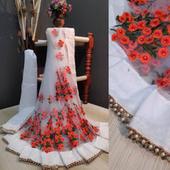 Bollywood, indische, pakistanische, ethnische Partykleidung, weiches reines Netz, Sari für Damen und Mädchen