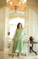 Bollywood, indisch, pakistanisch, ethnisch, Partykleidung, weiches, reines, weiches Organza-Rajasthani-Kleid