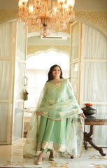 Bollywood Indian Pakistani Ethnic Party Wear Soft Pure Soft Organza Rajasthani Dress