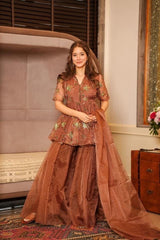 Bollywood Indische Pakistanische Ethnische Party Tragen Weiche Reine Kokos Braun Organza Peplum Palazzo Set Kleid