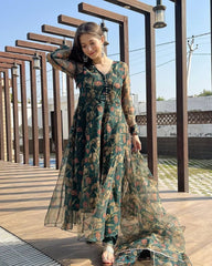 Bollywood Indische Pakistanische Ethno Party Wear Weiches Reines Grünes Organza Maxi Kleid mit Blumenmuster