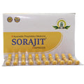 Sg Phyto Ayurvedic Sorajit 30 Capsules