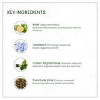 AVP Ayurvedic Dasamoolarishtam Liquid 450ml