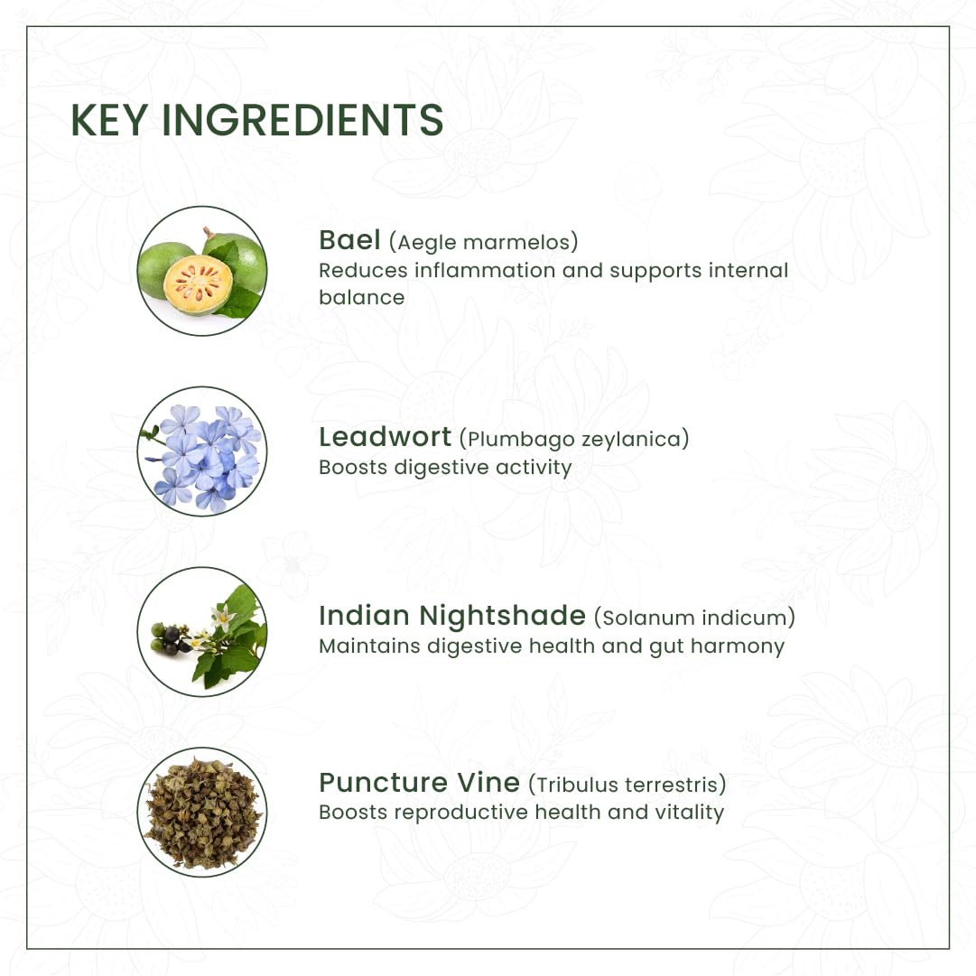 AVP Ayurvedic Dasamoolarishtam Liquid 450ml