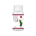 Dr Vasishth's Ayurvedic Shati Dry Syrup Powder (For Kids) 10 Gm