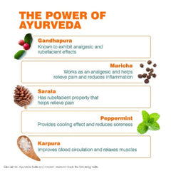Himalaya Herbal Ayurvedic Rumalaya Active Spray Schnelle und langanhaltende Linderung von Körperschmerzen, Rückenschmerzen, Knieschmerzen, Gelenkschmerzen, Muskelschmerzen, Verstauchungen. Beginnt innerhalb von 2 Minuten mit der Schmerzlinderung.