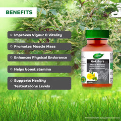 Dabur Ayurvedic Gokshura 60 Tablets