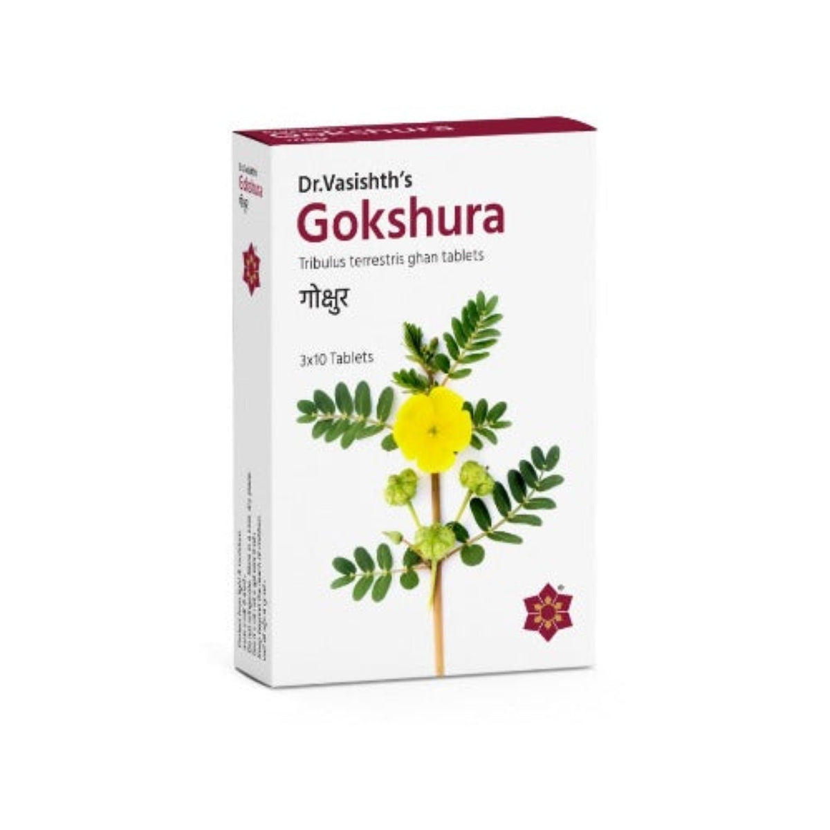 Dr.Vasishths ayurvedisches Gokshura 3 x 10 Tabletten