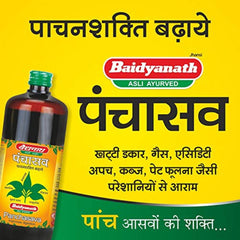 Baidyanath Ayurvedic (Jhansi) Panchasava Liquid 450ml