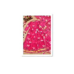Bollywood Indische Pakistanische Ethnische Party Tragen Weiche Reine Tubby Organza Pinsel Farbe Anzug Kleid