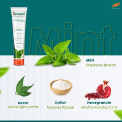 Зубная паста Himalaya Herbal Ayurvedic BOTANIQUE Complete Care (Просто мята) 150 г