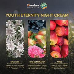 Himalaya Herbal Ayurvedic Personal Care Youth Eternity Nachtcreme für prallere und jugendlichere Haut, 50 ml