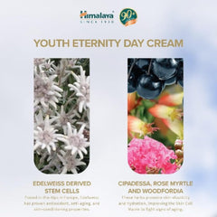 Himalaya Herbal Ayurvedic Personal Care Youth Eternity Für jugendliche Ausstrahlung, Tagescreme für jeden Tag, 50 ml