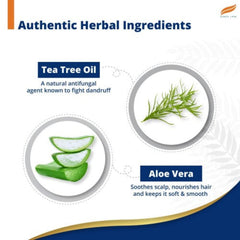 Himalaya Herbal Ayurvedic Шампунь против перхоти с чайным деревом для личной гигиены, до 100% свободный от перхоти