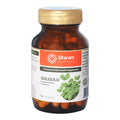 Sitaram Ayurvedic Gulgulu 60 Capsules