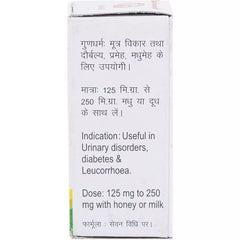 Baidyanath Ayurvedic (Jhansi) Triwang Bhasma Powder