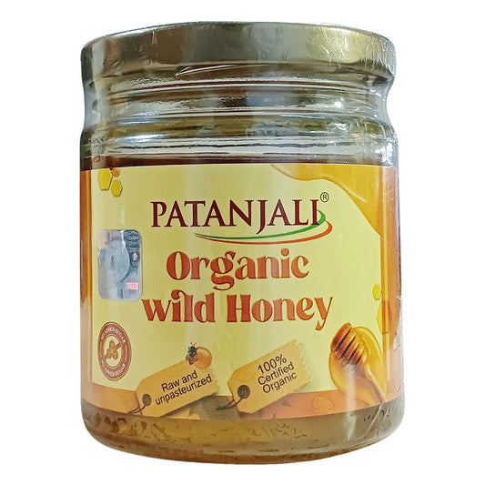 Patanjali Ayurvedic Organic Wild Honey