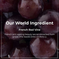 Pilgrim Cosmetics Red Vine Night Gel Crème with Retinol,Mulberry & Vit C 50gm