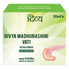 Patanjali Divya Madhunashini Vati Extra Power Tablets Pack Of 2 (240 Tabs)