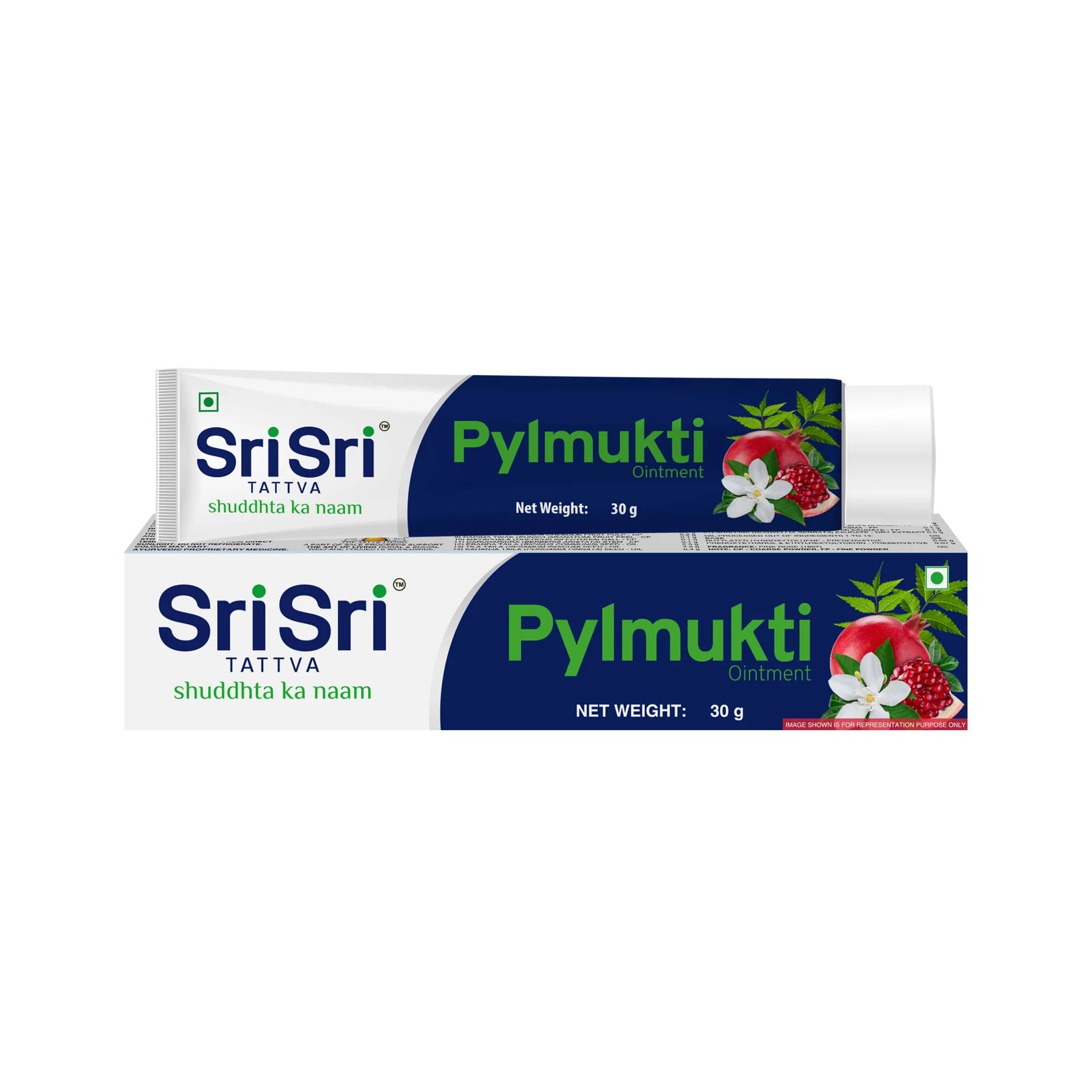 Sri Sri Tattva Ayurvedic Pylmukti Ointment