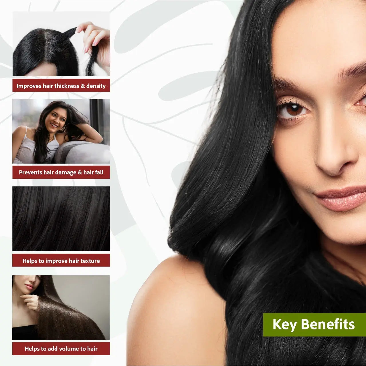 Sri Sri Tattva Ayurvedic Henna Shikakai Hair Shampoo 200ml