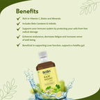 Sri Sri Tattva Ayurvedic Raw Noni Juice 1 Litre