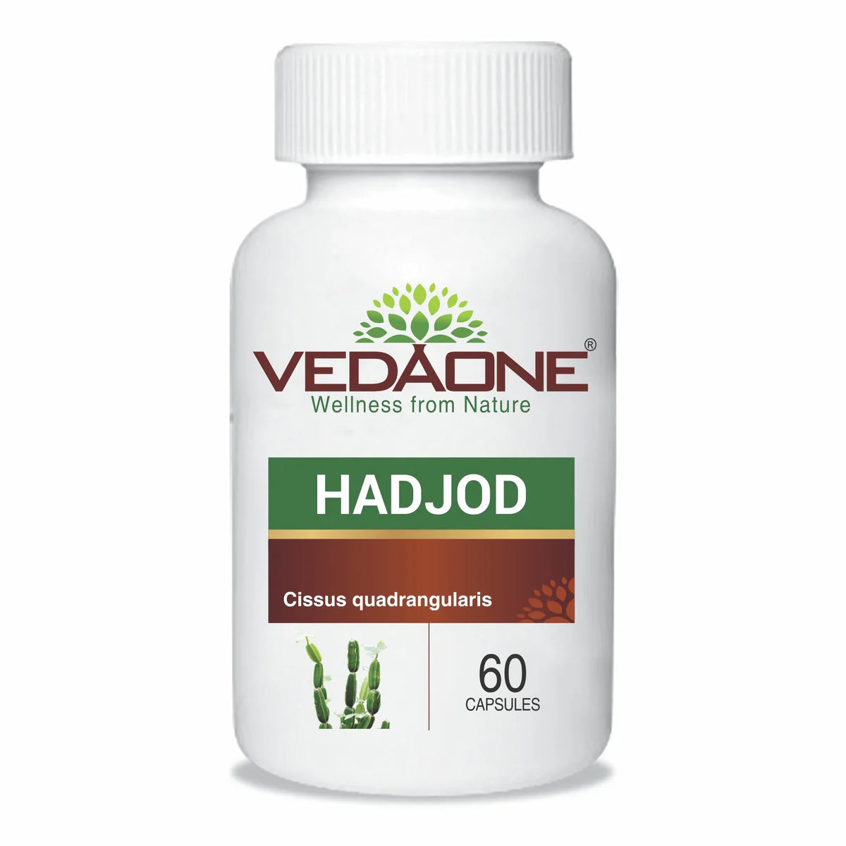 Vedaone Ayurvedic Hadjod Joint Support 450mg 60 Capsule